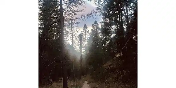 1037 Wagonwheel Gap Road