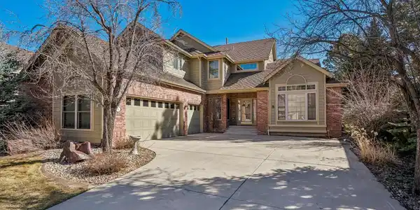 8 Willow Oak