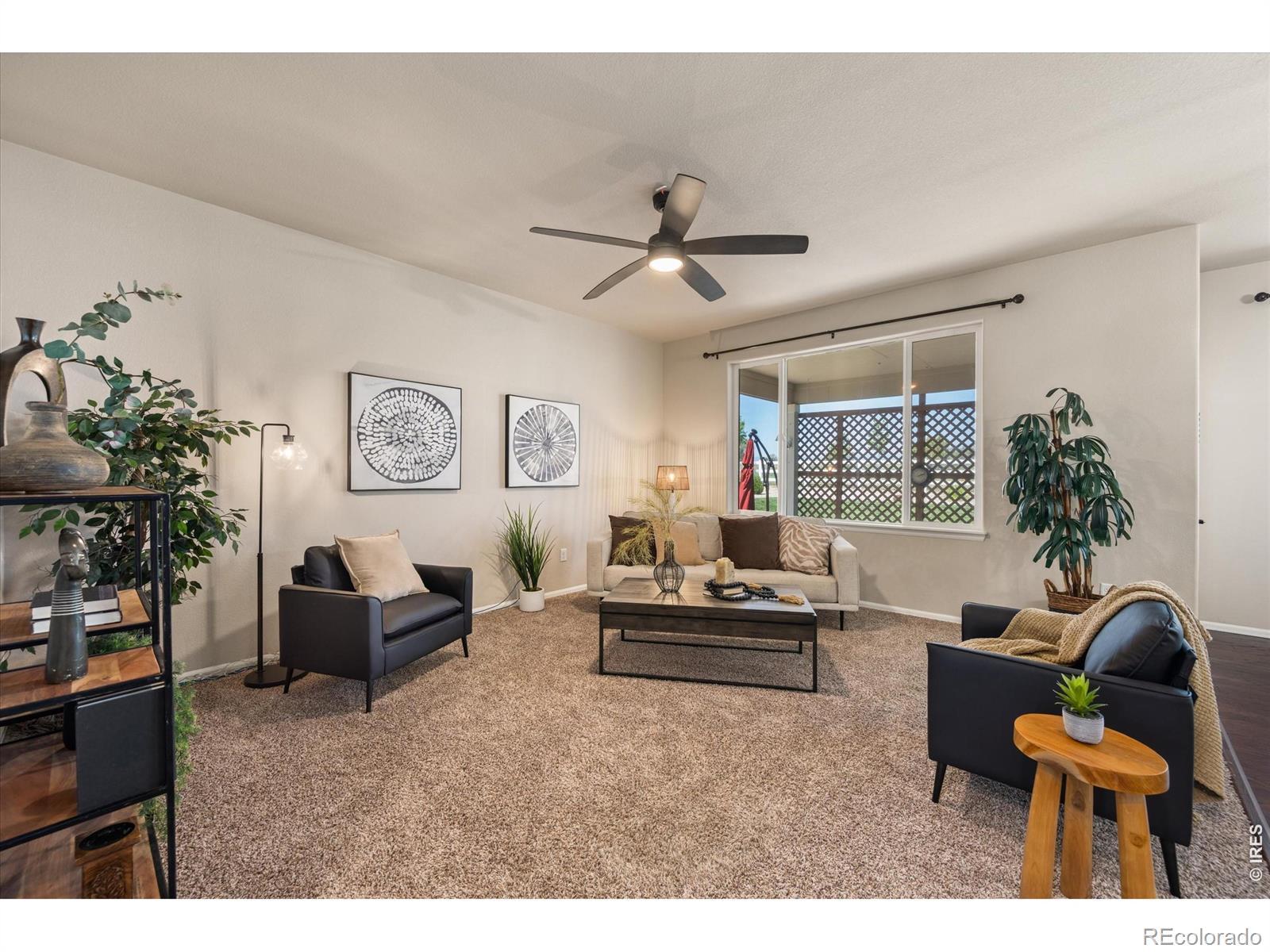Image 3: Tall Ceilings