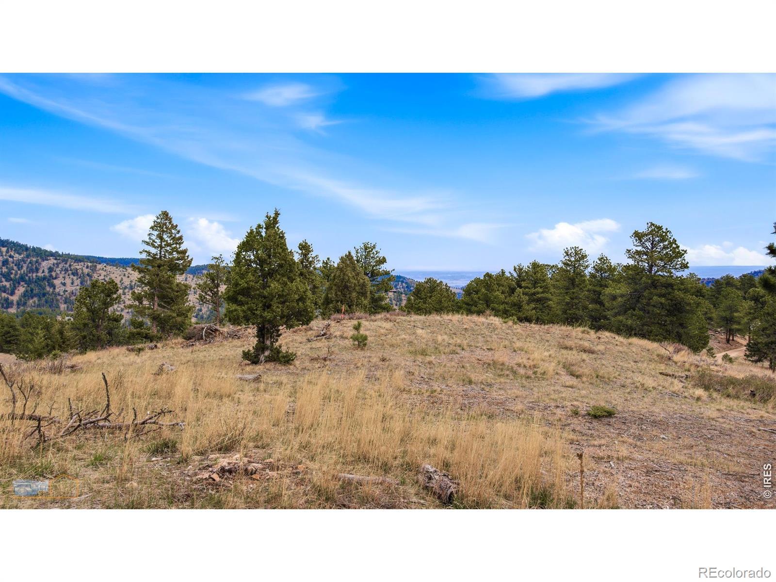 Image 4 Image 4