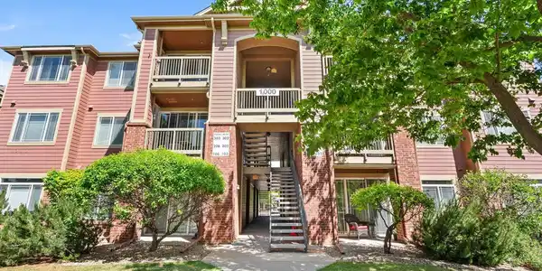 804 Summer Hawk Drive