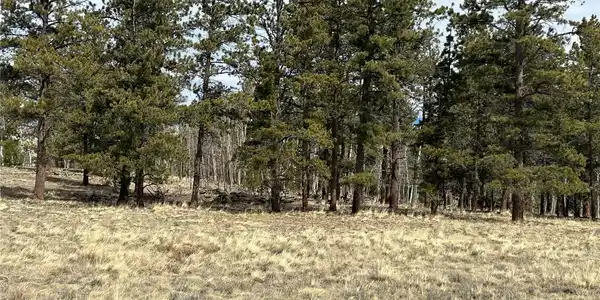 788 Wagon Wheel Road