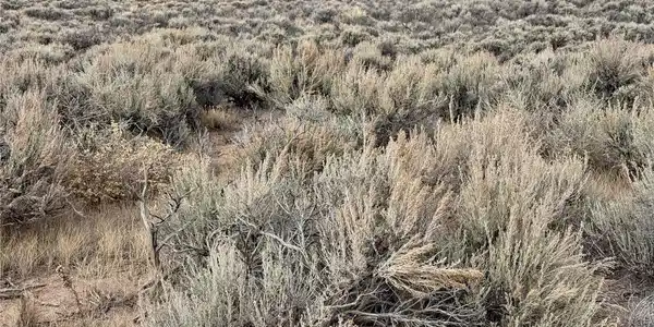 Image 3 Image 3