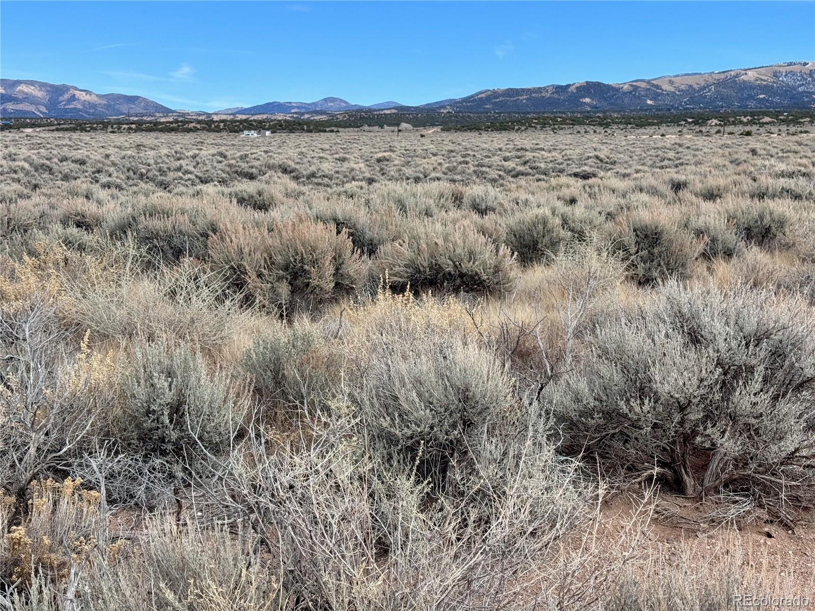 Image 4 Image 4