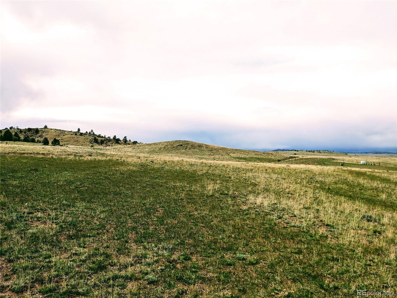 Image 4 Image 4