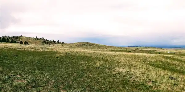 Image 4 Image 4