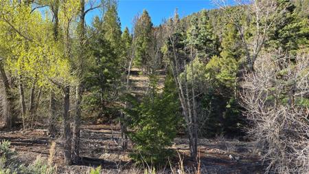 Lot 5475 Joy Road