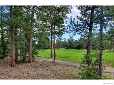 3031 Lake Arapahoe Court
