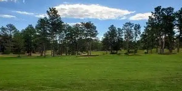 Image 3 Image 3