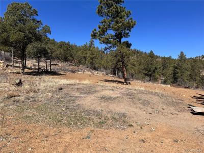 000 Big Pine Ridge