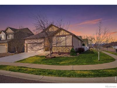 3465 Petrel Drive