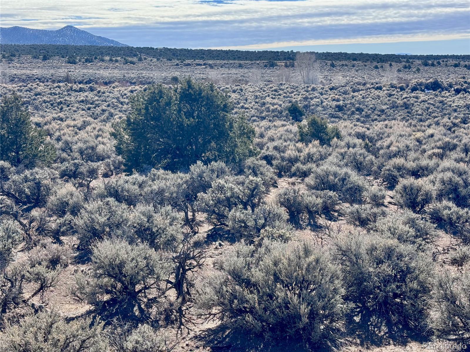 Image 3 Image 3