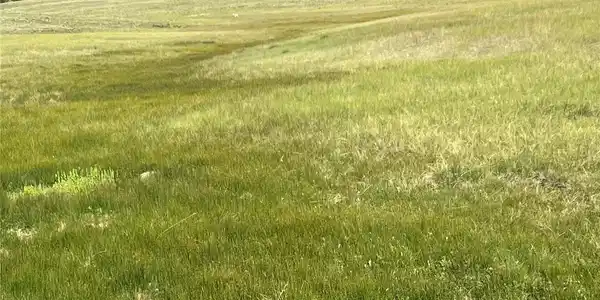 Ranch Road