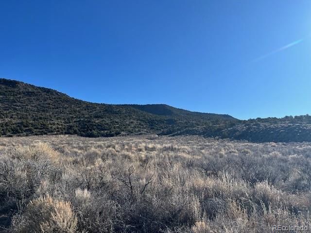 Image 4 Image 4