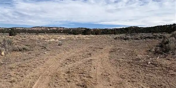 Image 4 Image 4