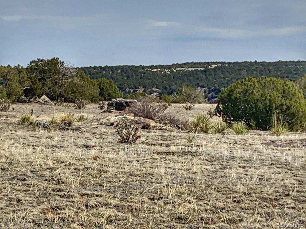 Image 3 Image 3