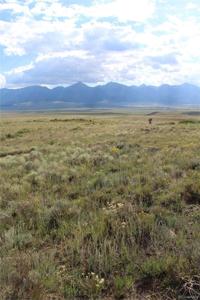 1009 Taos Trail