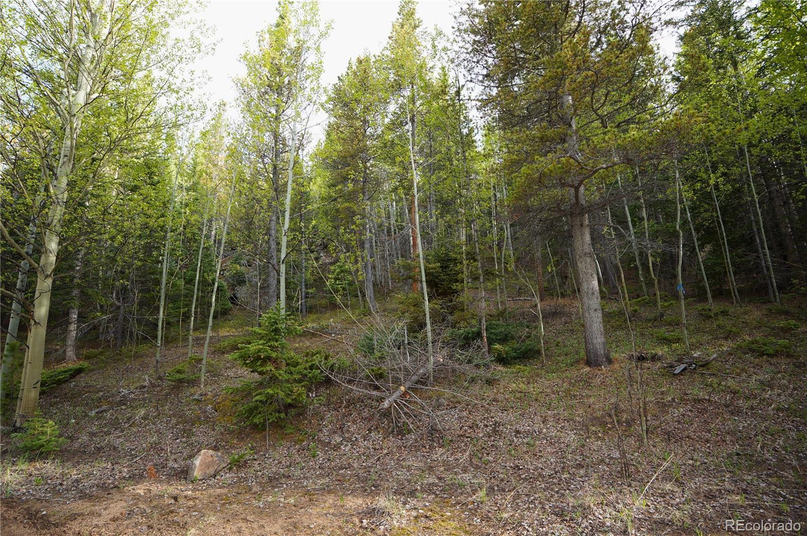 Image 4 Image 4