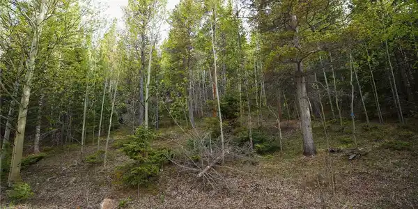 Image 4 Image 4