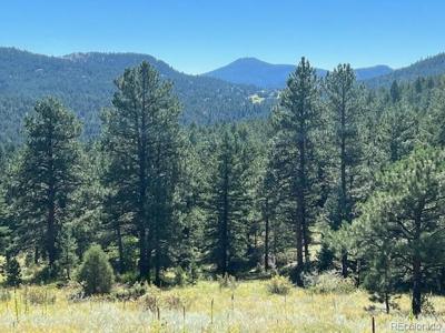 TBD Barney Gulch Road