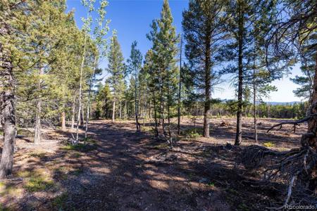 30894 Forest Shadow Trail