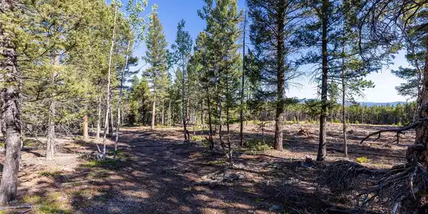 30894 Forest Shadow Trail