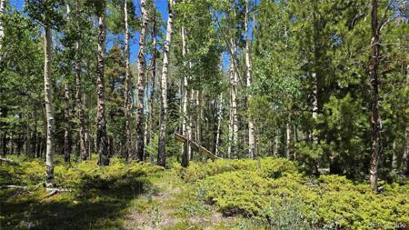 Lot 6748 Starkweather Road