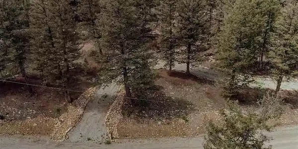 225 Trout Creek