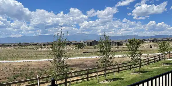 9436 Roseate View