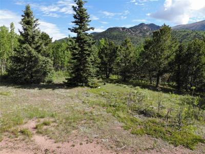 Castle Ridge View