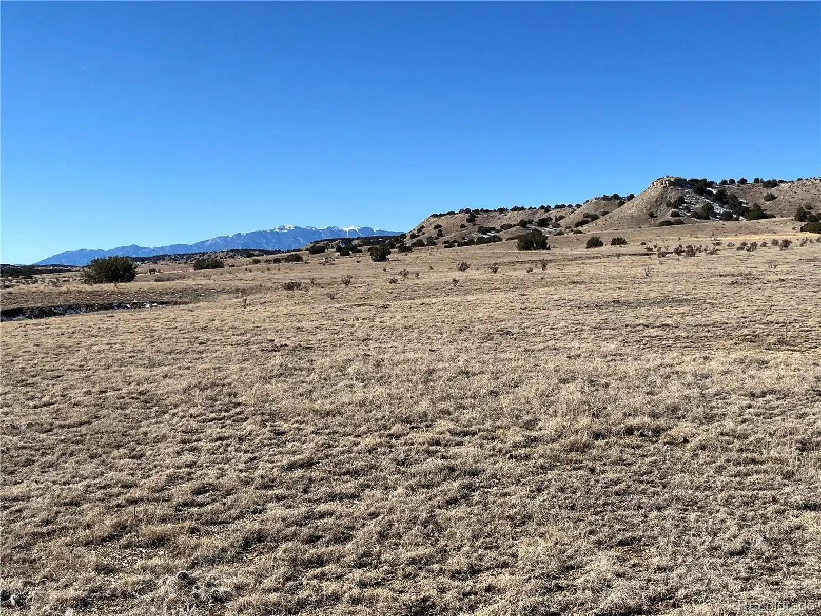 Image 1 Image 1