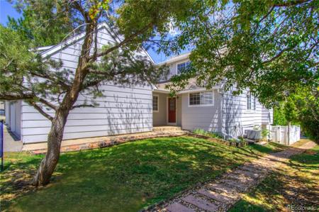 10385 Red Mountain