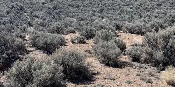 Image 4 Image 4