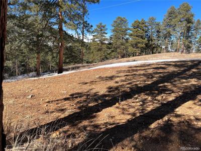 Lot 1 Iowa Gulch Road