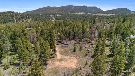 27687 Pine Grove Trail