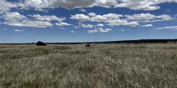 Image 4 Image 4