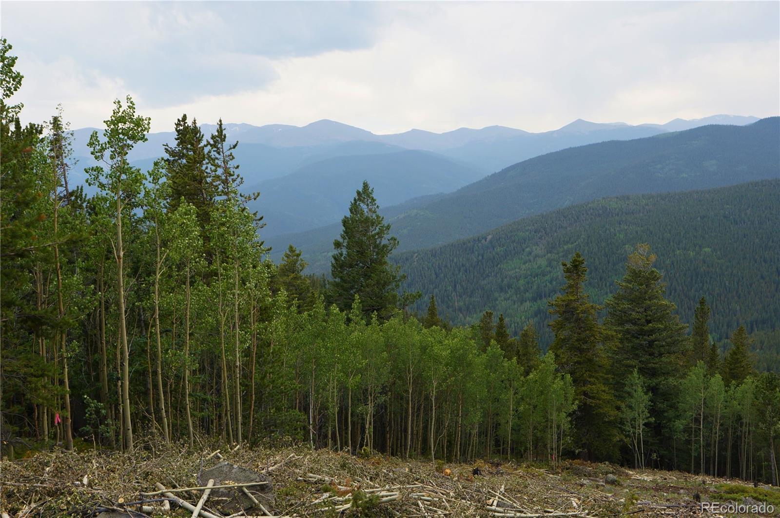 Image 4: Views you would get with a little clearing
