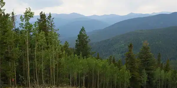 Image 4: Views you would get with a little clearing Image 4: Views you would get with a little clearing