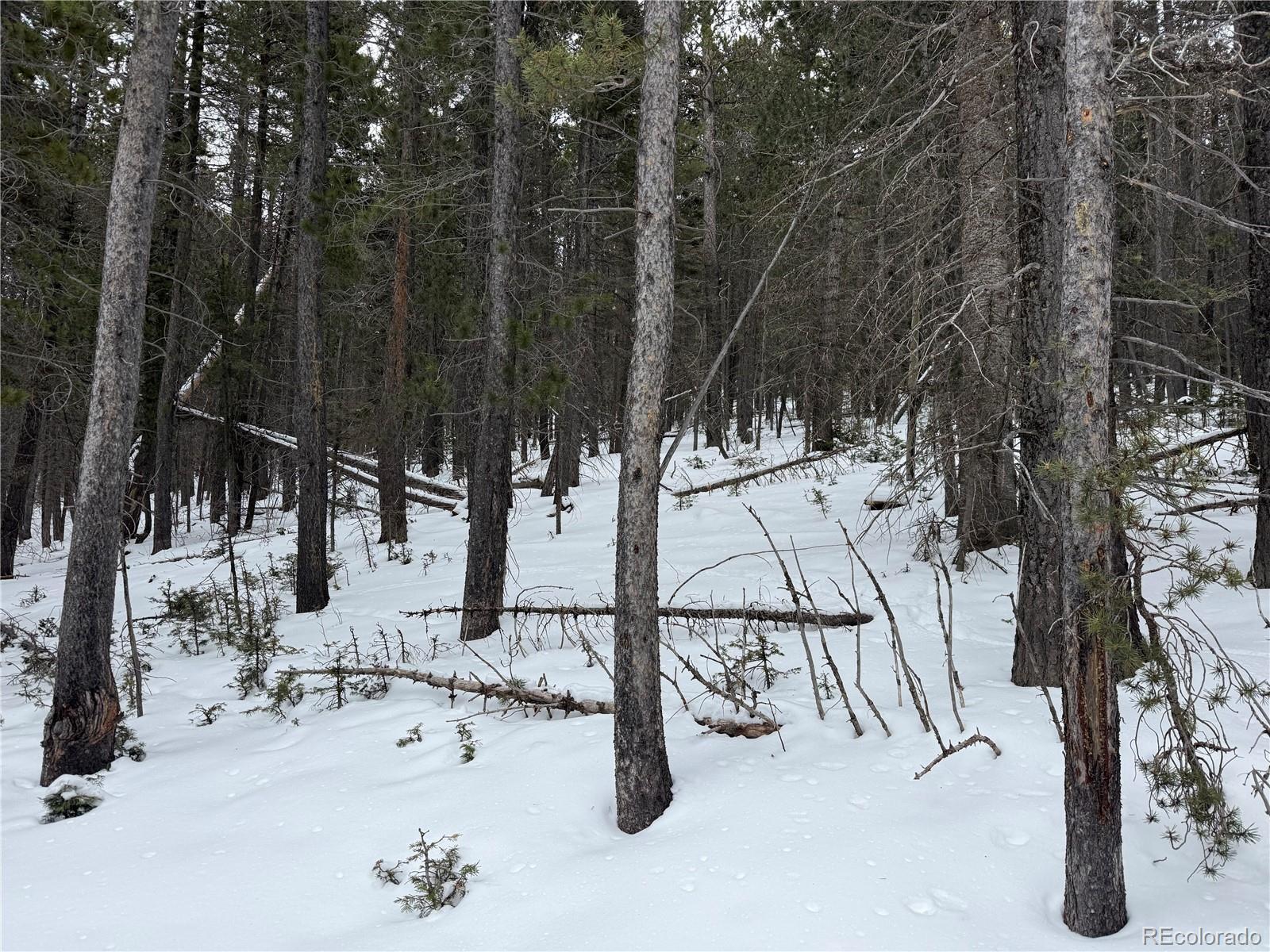 Image 1 Image 1