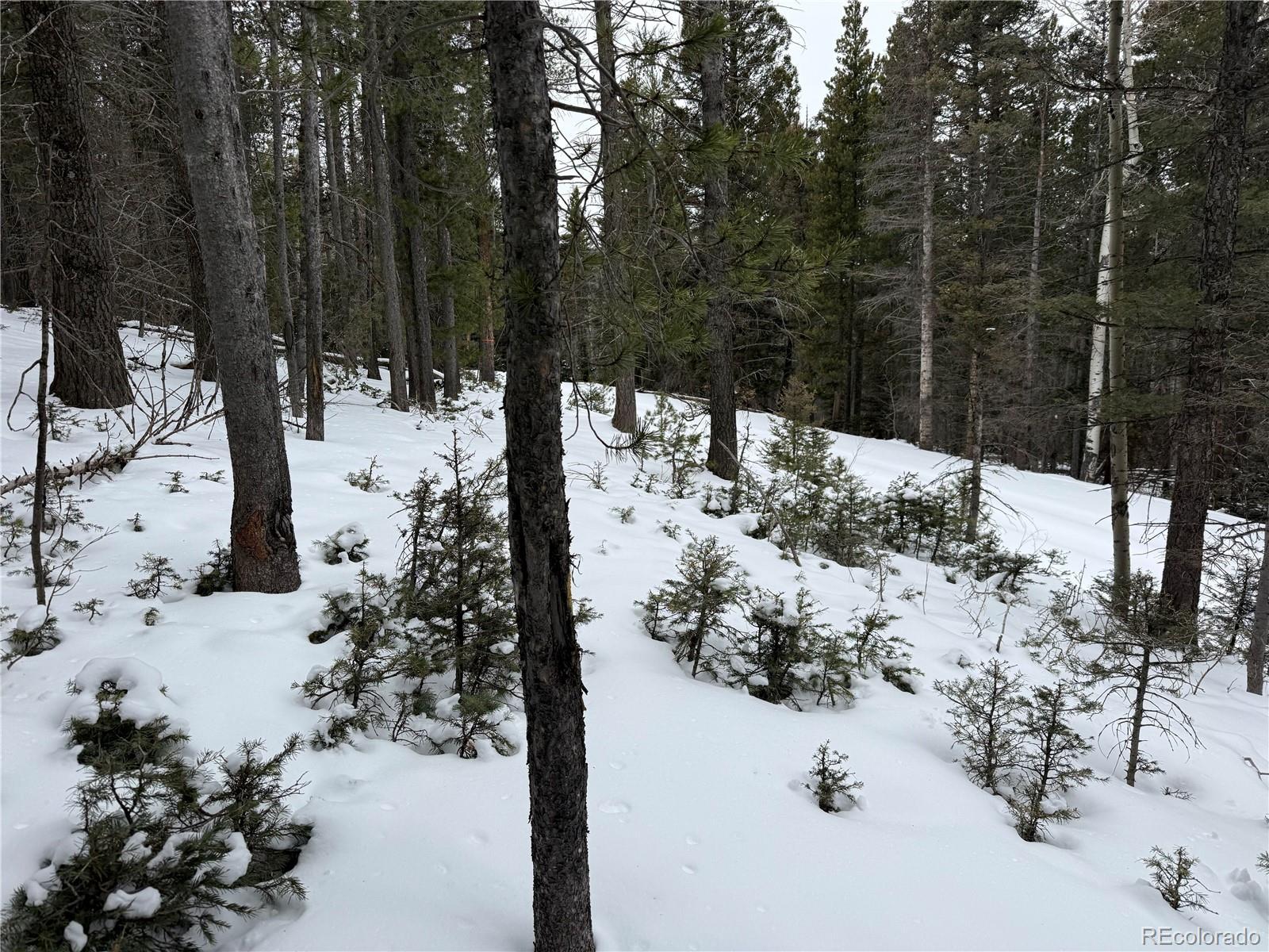 Image 3 Image 3