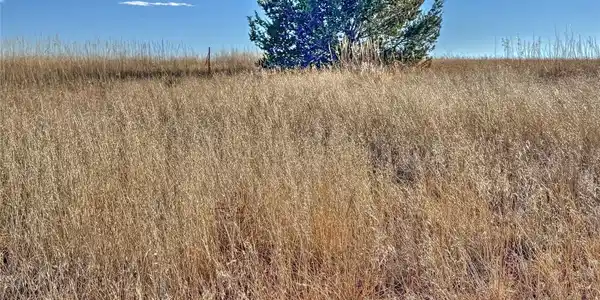 Image 3 Image 3