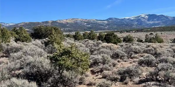 Image 4 Image 4