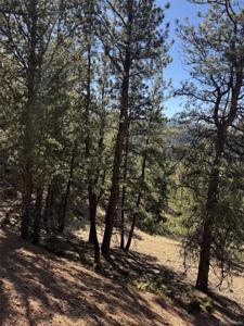 1440 Pikes Peak Drive