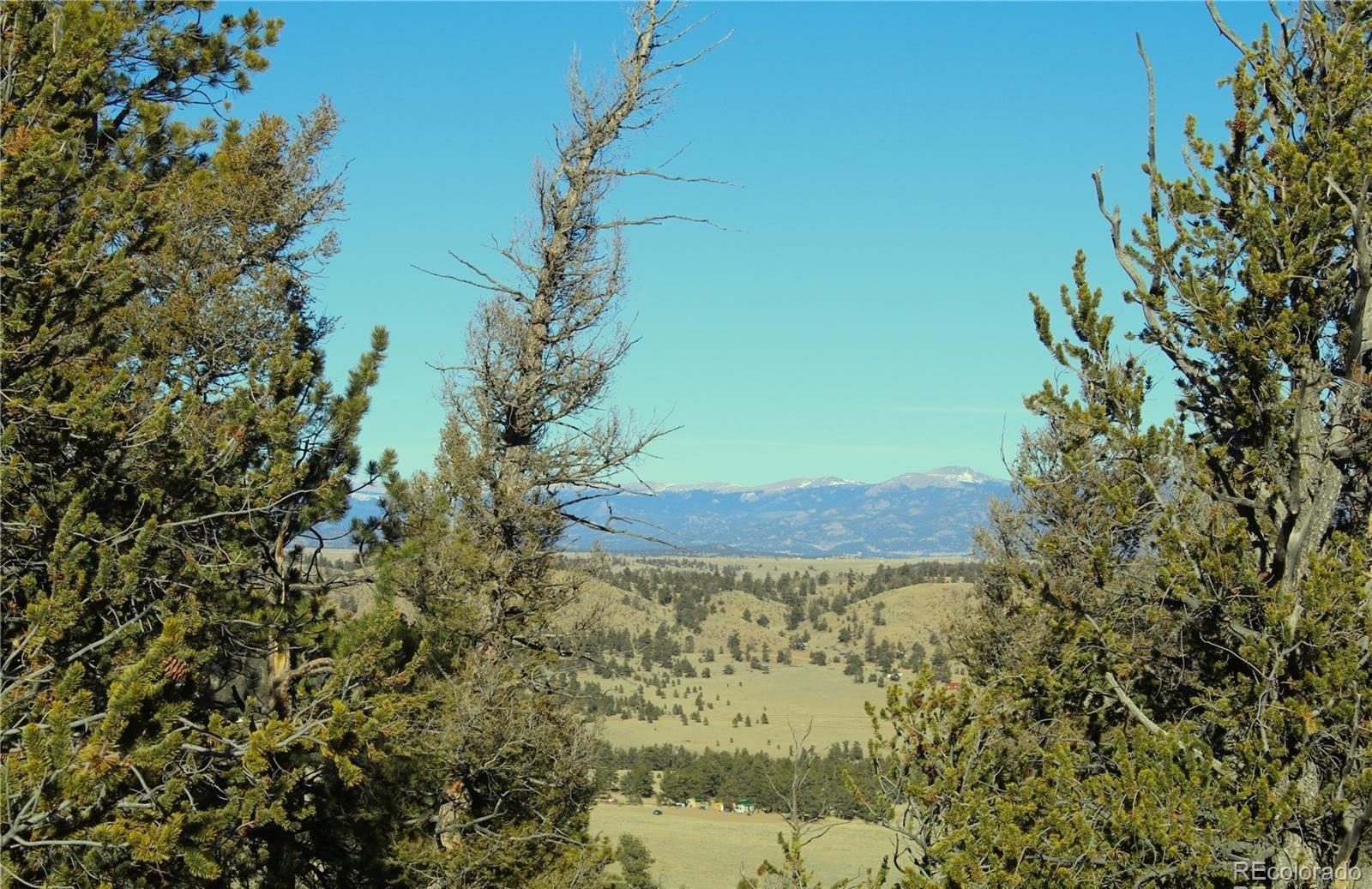 Image 4 Image 4