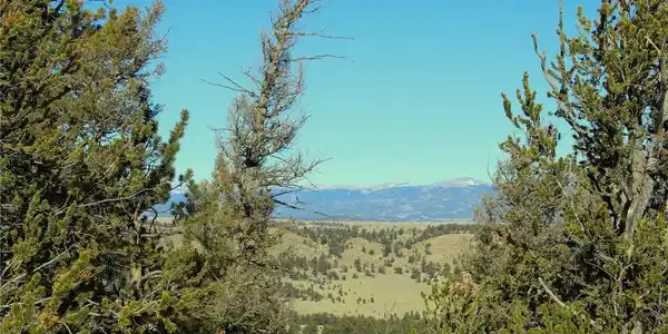 Image 4 Image 4