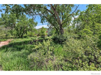 4804 Foothills Drive