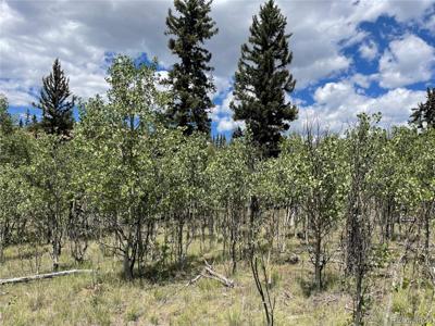 771 Teton Trail