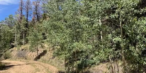 Image 4 Image 4