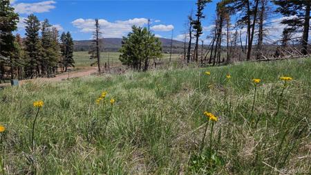 448 Wagon Mesa Loop