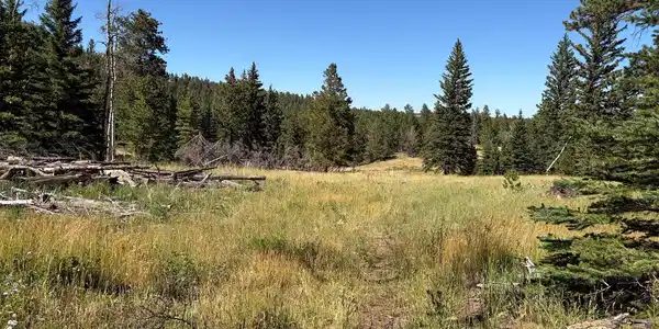 Pratt Creek Road